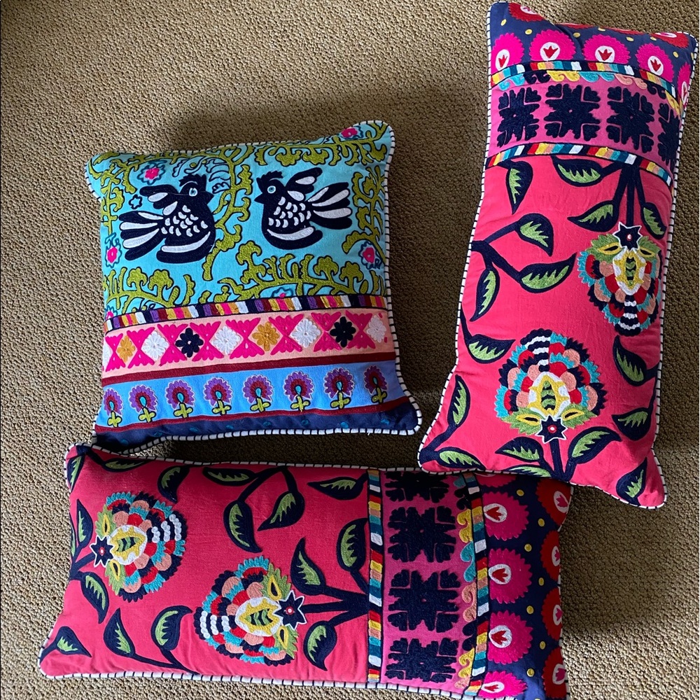 Anthropology Pillows